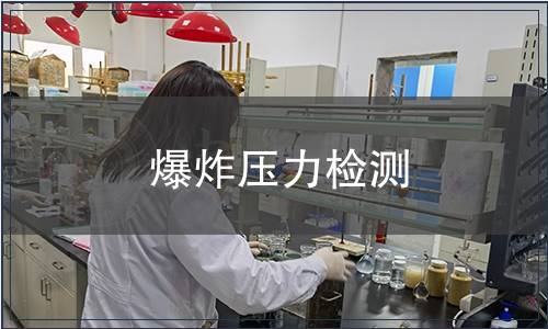 爆炸壓力檢測