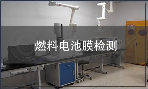 燃料電池膜檢測