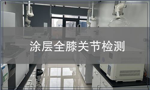 涂層全膝關(guān)節(jié)檢測