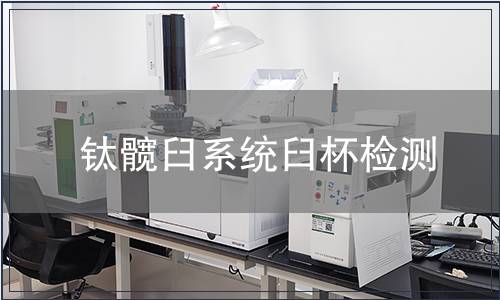 鈦髖臼系統臼杯檢測