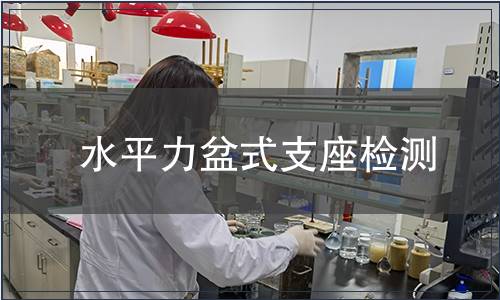 水平力盆式支座檢測(cè)