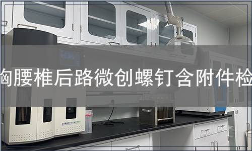 胸腰椎后路微創(chuàng)螺釘含附件檢測