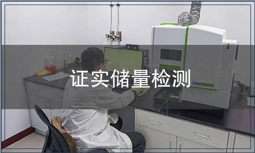 證實(shí)儲(chǔ)量檢測(cè)