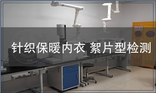 針織保暖內(nèi)衣 絮片型檢測