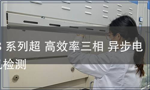 YE3 系列超 高效率三相 異步電動(dòng)機(jī)檢測(cè)