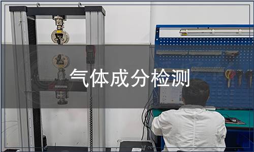 氣體成分檢測(cè)