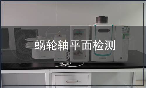 蝸輪軸平面檢測