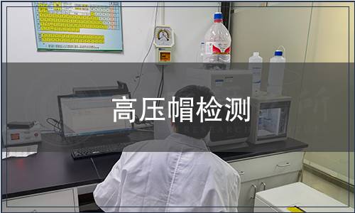 高壓帽檢測(cè)