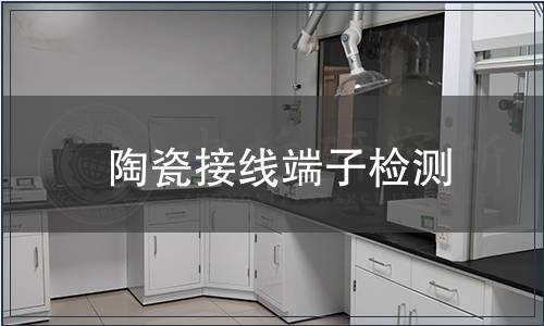 陶瓷接線端子檢測