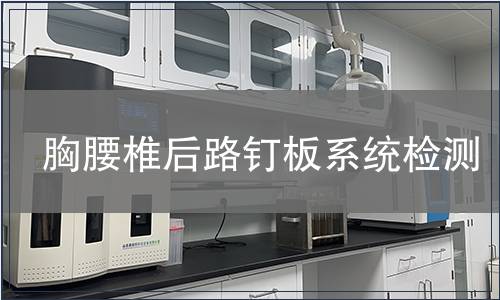 胸腰椎后路釘板系統(tǒng)檢測