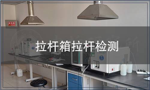 拉桿箱拉桿檢測(cè)