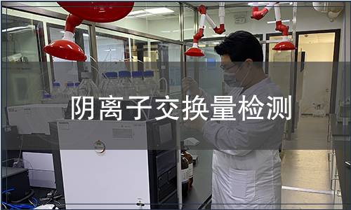 陰離子交換量檢測(cè)