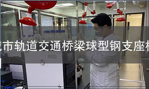 城市軌道交通橋梁球型鋼支座檢測(cè)