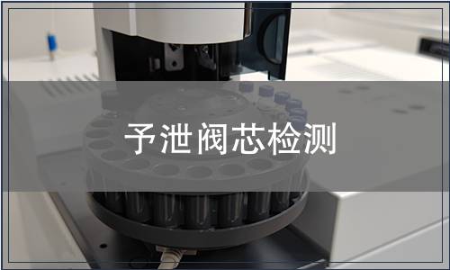 予泄閥芯檢測(cè)