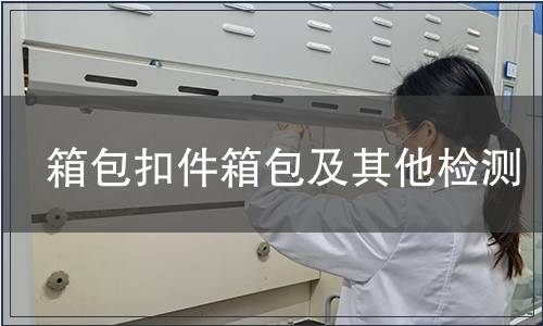 箱包扣件箱包及其他檢測