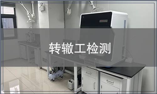 轉(zhuǎn)轍工檢測