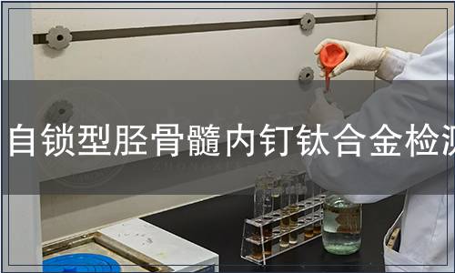 自鎖型脛骨髓內(nèi)釘鈦合金檢測(cè)
