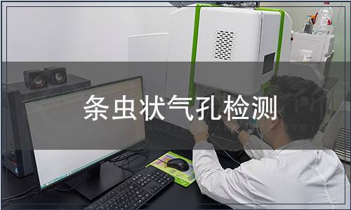 條蟲狀氣孔檢測