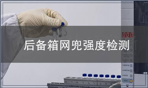 后備箱網兜強度檢測