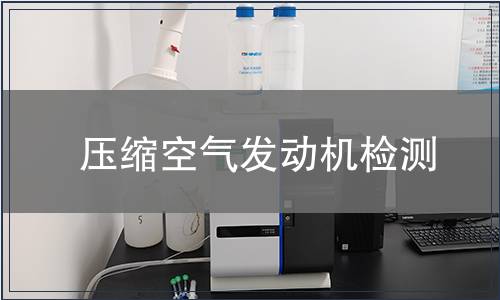 壓縮空氣發(fā)動機(jī)檢測