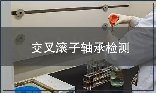 交叉滾子軸承檢測(cè)