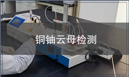 銅鈾云母檢測