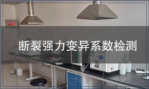 斷裂強力變異系數檢測