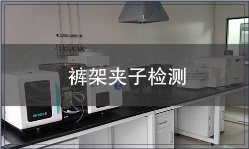 褲架夾子檢測(cè)