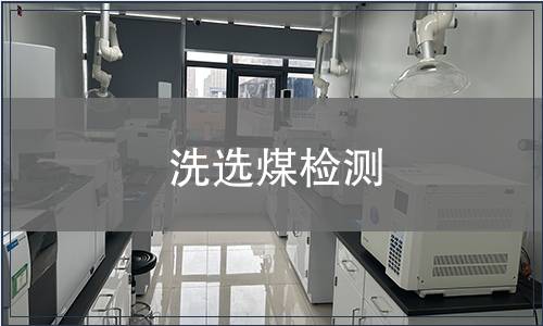洗選煤檢測