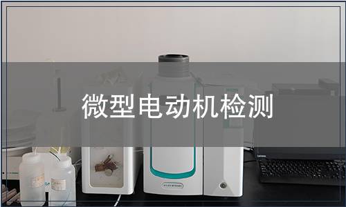 微型電動機檢測