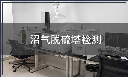 沼氣脫硫塔檢測