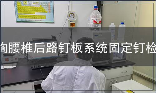 胸腰椎后路釘板系統(tǒng)固定釘檢測