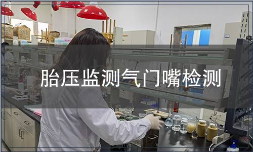 胎壓監測氣門嘴檢測