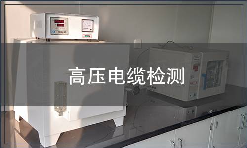 高壓電纜檢測(cè)