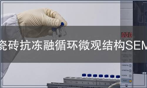 瓷磚抗凍融循環(huán)微觀結(jié)構(gòu)SEM觀察