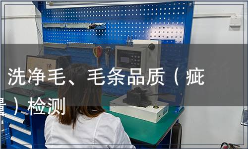 分級毛、洗凈毛、毛條品質（疵點、重量）檢測