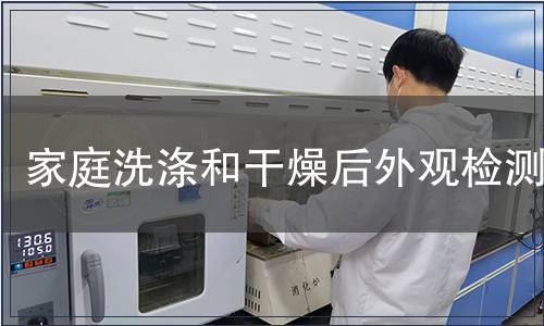 家庭洗滌和干燥后外觀檢測