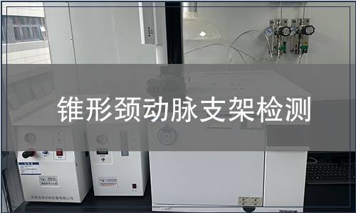 錐形頸動脈支架檢測