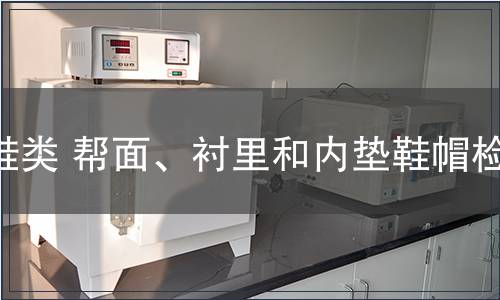鞋類 幫面、襯里和內(nèi)墊鞋帽檢測(cè)