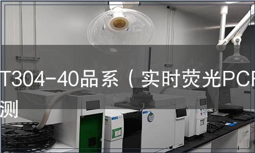 T304-40品系（實(shí)時(shí)熒光PCR）檢測(cè)
