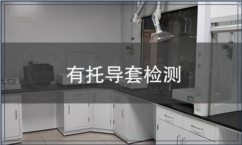 有托導(dǎo)套檢測