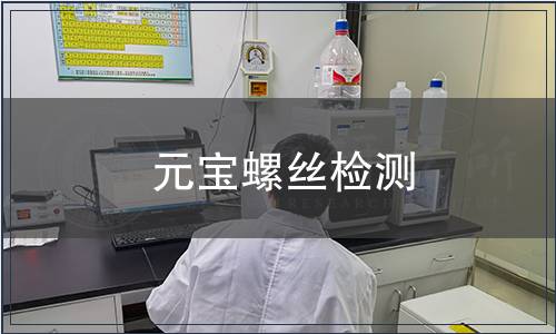 元寶螺絲檢測(cè)