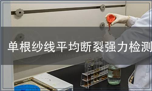 單根紗線平均斷裂強(qiáng)力檢測(cè)