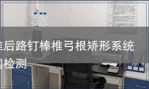 胸腰椎后路釘棒椎弓根矯形系統不銹鋼檢測