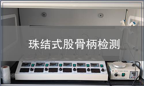 珠結(jié)式股骨柄檢測