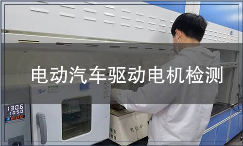 電動汽車驅動電機檢測