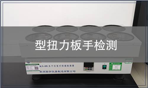 型扭力板手檢測