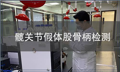 髖關(guān)節(jié)假體股骨柄檢測