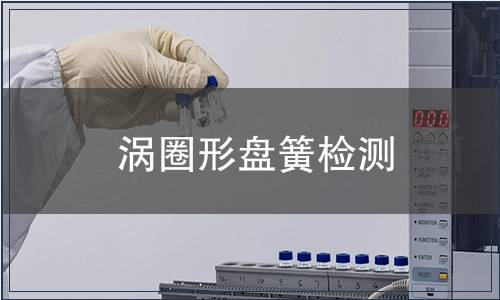 渦圈形盤簧檢測