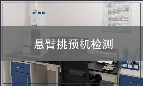 懸臂挑預機檢測